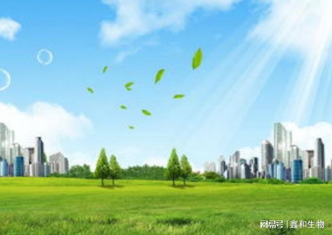 如甲醇、乙醇等含氧有机物、植物油和气体燃料