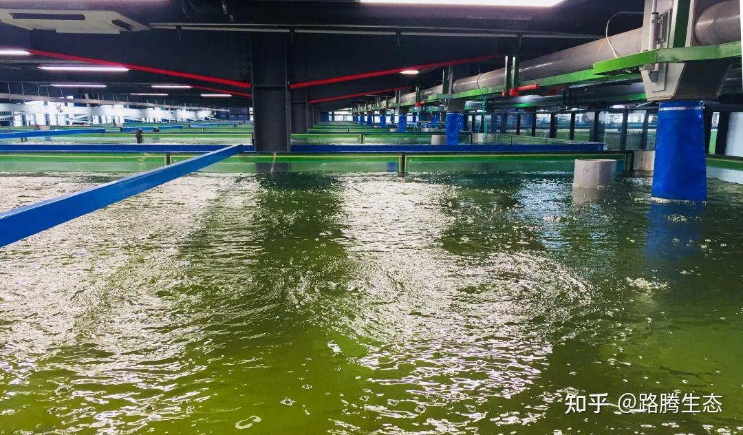 构建市场调节机制和技术支撑体系