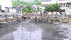 护航“十五五”美丽金安