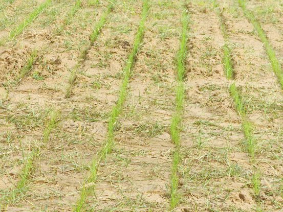 -北京碧水源科技股份有限公司：专注于水处理技术研发与应用