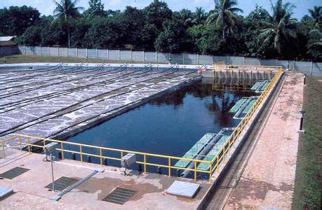 不代表澎湃新闻的观点或立场