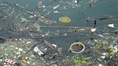 碧水净土的保卫战同样成