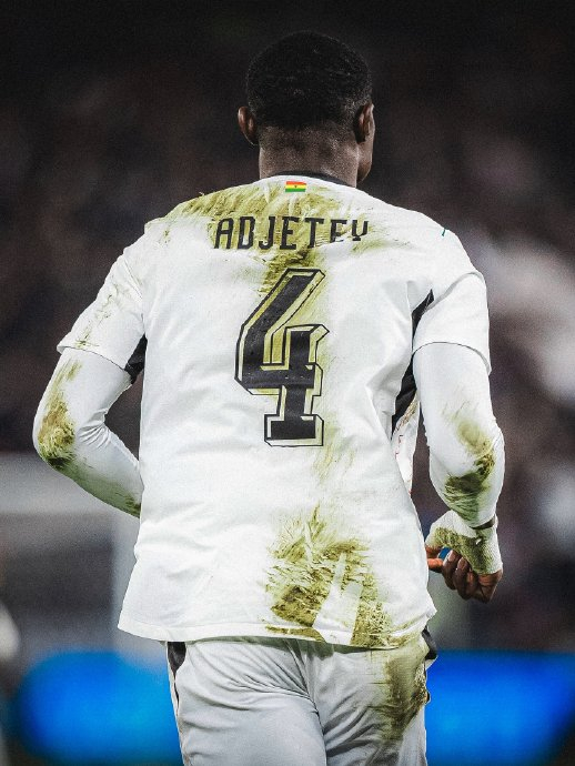 狼堡五将挺进世界杯 五国球队遗憾出局